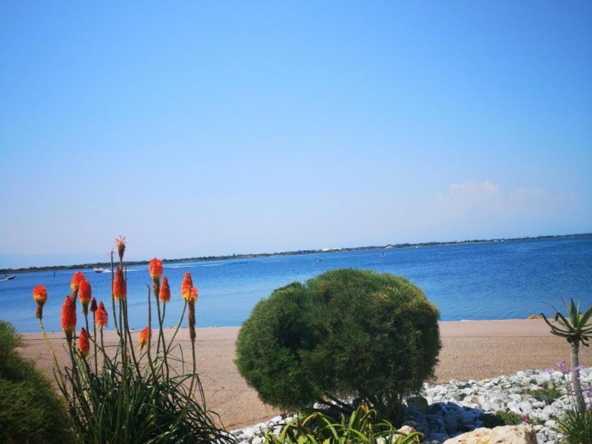 Appartement 4 Pers - Le Barcares - Piscine, Parkings, Terrains De Sport, Fitness - Fr-1-195-25 Exterior foto